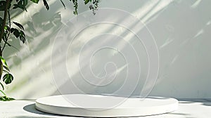 Generative AI Background White Wall Studio with Shadow Leaves light Cement floor Surface Texture BackgroundEmpty K