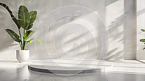 Generative AI Background White Wall Studio with  Shadow Leaves light Cement floor Surface Texture BackgroundEmpty