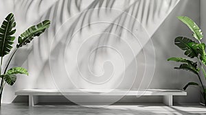 Generative AI Background White Wall Studio with  Shadow Leaves light Cement floor Surface Texture BackgroundEmpty
