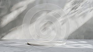 Generative AI Background White Wall Studio with Shadow Leaves light Cement floor Surface Texture BackgroundEmpty K