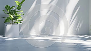 Generative AI Background White Wall Studio with  Shadow Leaves light Cement floor Surface Texture BackgroundEmpty