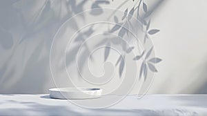 Generative AI Background White Wall Studio with  Shadow Leaves light Cement floor Surface Texture BackgroundEmpty