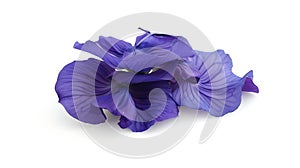 Generative AI Beautiful Butterfly Pea on white background business concept.