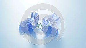 Generative AI Beautiful Butterfly Pea on white background business concept.