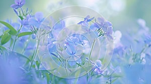 Generative AI Closedup blue flowers Phlox divaricata or woodland phlox Beautiful blurred background nature in past