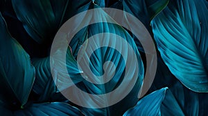 Generative AI Closeup detail macro texture bright blue green leave tropical forest plant spathiphyllum cannifolium