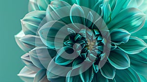 Generative AI Dahlia turquoisegreen flower  Macro  Nature business concept.