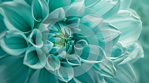 Generative AI Dahlia turquoisegreen flower  Macro  Nature business concept.
