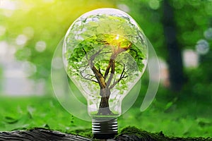 Generative AI. An electric light bulb on the green grass and a tree inside it. Earth Day. Sunlight in nature. energy