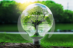 Generative AI. An electric light bulb on the green grass and a tree inside it. Earth Day. Sunlight in nature. energy