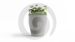 Generative AI Empty flower pot isolated on a white background Decorative plant pot cutout Greenish gray plastic co photo