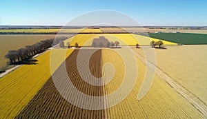 Generative AI, Farm landscape, agricultural wheat fields, beautiful countryside, country road. Nature Illustration, photorealistic