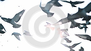 Generative AI Flock of flying birds in the sky on white background business concept.