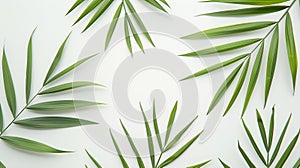 Generative AI green palm leaf branches on white background flat lay top view business concept.