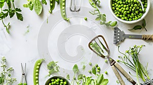 Generative AI Green pea composition with garden tools on light background Raw healthy snack Top view flat lay copy