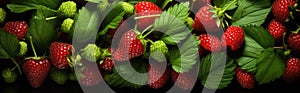Generative ai illustration of a Creative food summer strawberries fruits banner