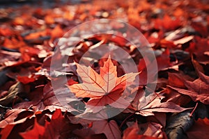 Generative AI Image of Autumn Red Maple Leaves Falling on the Ground