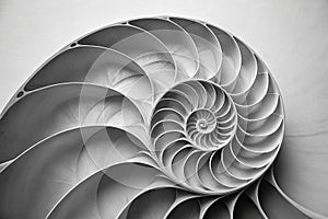 A black and white image of a spiral. Generative AI image