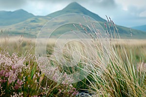 Generative AI Image of Grass in the Pasture with Hill Mountain View in Bright Day