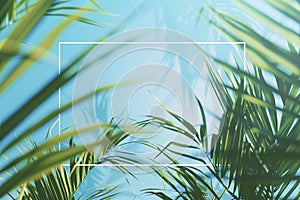 Generative AI Image of Line Frame with Tropical Plant in Summer on Blue Wall Background