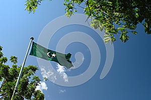 Generative AI Image of Low Angle Shot of Pakistan Flag Fluttering Under Blue Sky