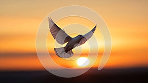 Generative AI Majestic white bird soaring through the vibrant sunset sky symbolizing freedom and peace business co photo