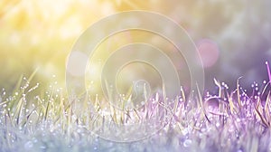 Generative AI natural grass field background with blurred bokeh and sun rays business concept.