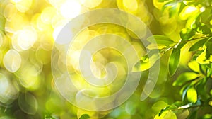 Generative AI Natural green yellow blurred background Green yellow bokeh on nature defocus abstract blur backgroun