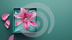 Generative AI Open gift box with fresia flower color background top view business concept.