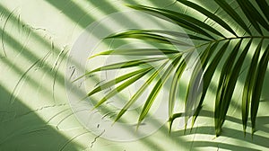 Generative AI Palm leaf shadow on a green wall background Olive color stylish flat lay with trendy shadow and sun