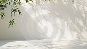 Generative AI Studio backgroundconcrete with Bamboo Leaves shadow with sunlight effect on white wall backgroundEmp