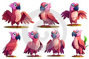 Generative AI Tropical Parrot Set Isolated-
