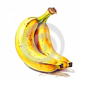 Generative AI watercolor banana on white background