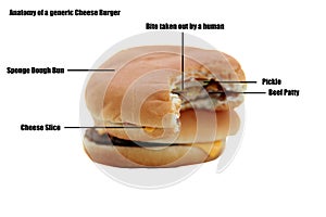 Generic cheese burger isolated on white