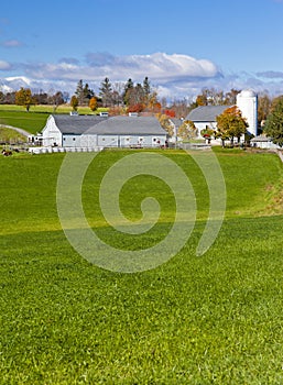 Generic Dairy farm