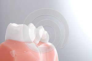 Generic dental teeth model