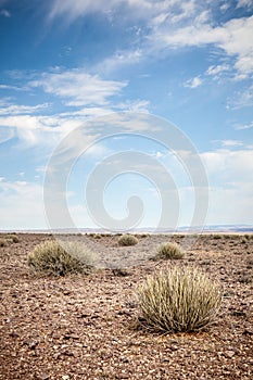Generic desert scene with blue sky