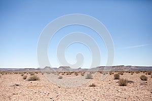 Generic desert scene with clear blue sky