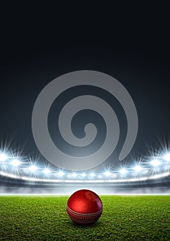 Generic Floodlit Stadium With Cricket Ball