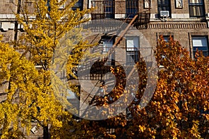 Generic Old Brick Apartment Building with Fire Escapes and Colorful Trees during Autumn in Long Island City Queens New York