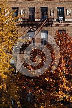 Generic Old Brick Apartment Building with Fire Escapes and Colorful Trees during Autumn in Long Island City Queens New York
