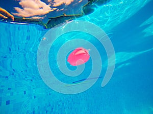 Generic rubber fish toy in swimming pool, underwater view