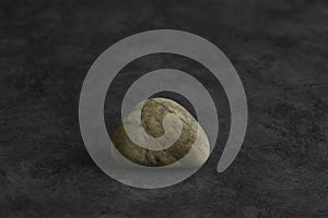 Generic tan white rock on gray textured surface