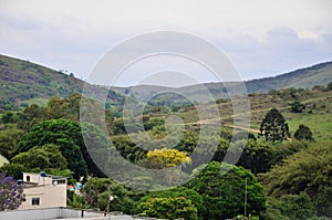 The generic vegetation of the city of AndrelÃ¢ndia in Minas Gerais photo