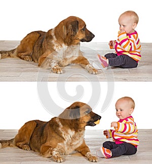 Generous baby sharing biscuit with dog