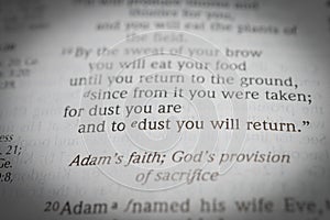 Genesis 1:3 for dust you are and to dust you will return