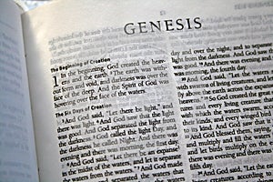 Genesis 1 Bible verse photo