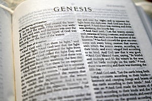 Genesis 1 Bible verse