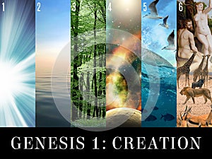 Genesis 1 Creation