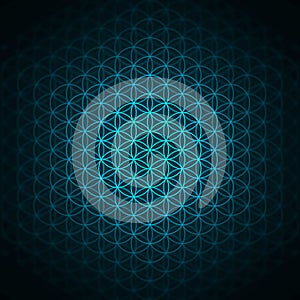 genesis pattern - the flower of life blue photo